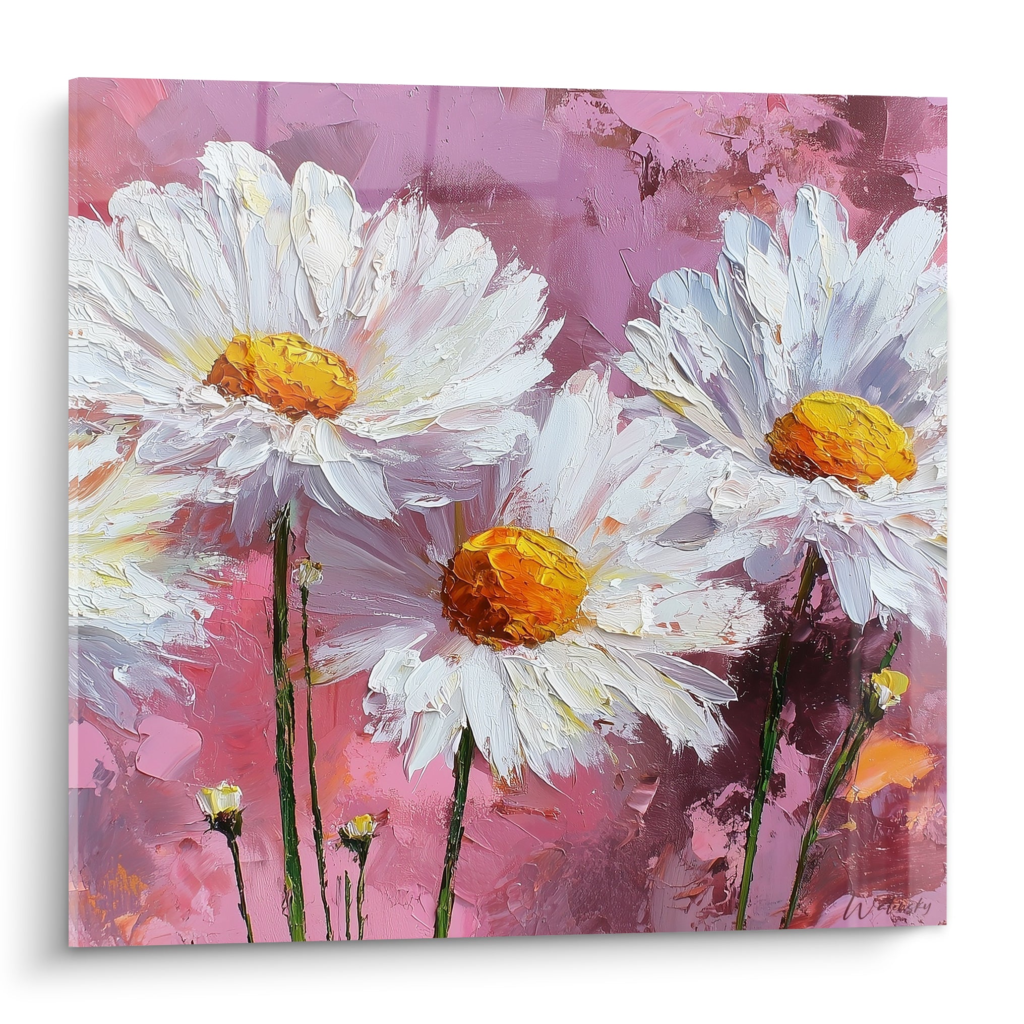 Marguerites blanches aux cœurs dorés se détachent sur un fond rose et mauve texturé au couteau