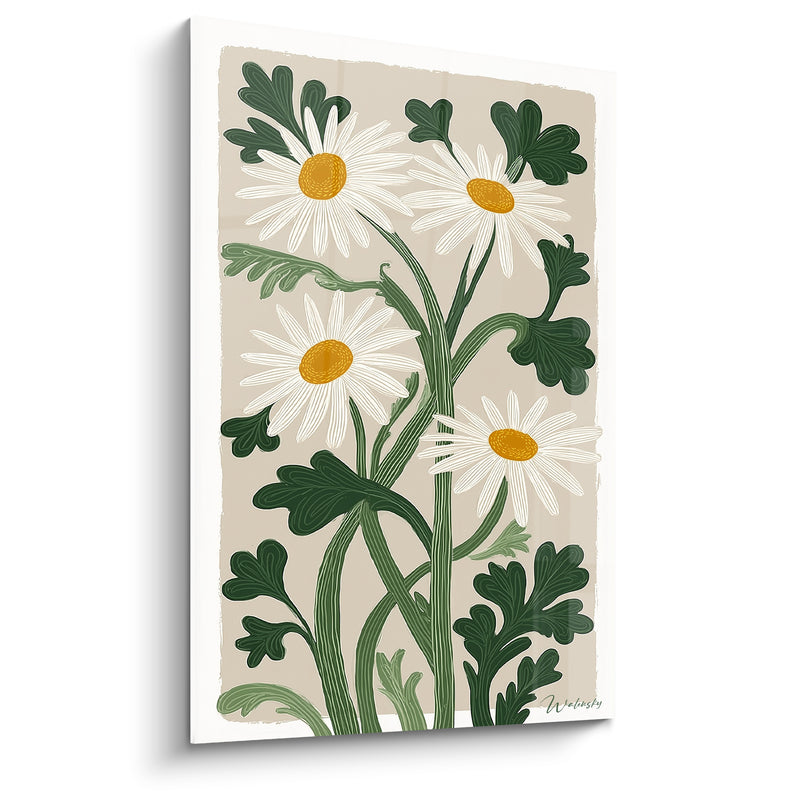 Tableau Marguerites blanches aux feuilles vert sombre - Bouquet des champs - Edition Marguerite
