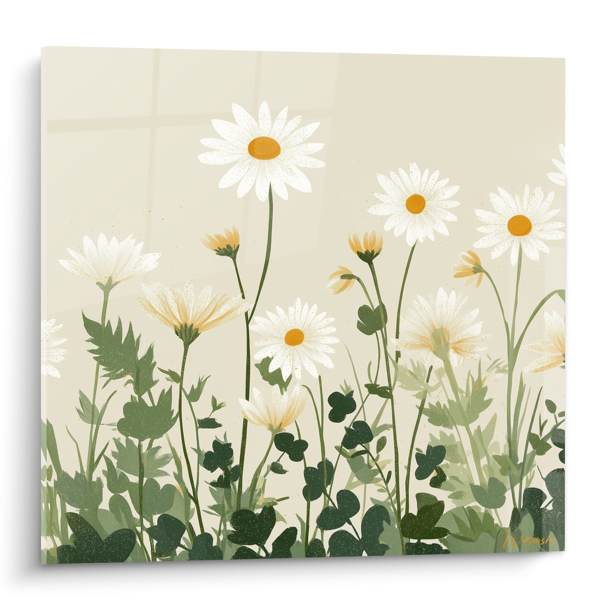 Marguerites blanches aux cœurs orangés dressées sur fond beige, feuillage vert dense en bas