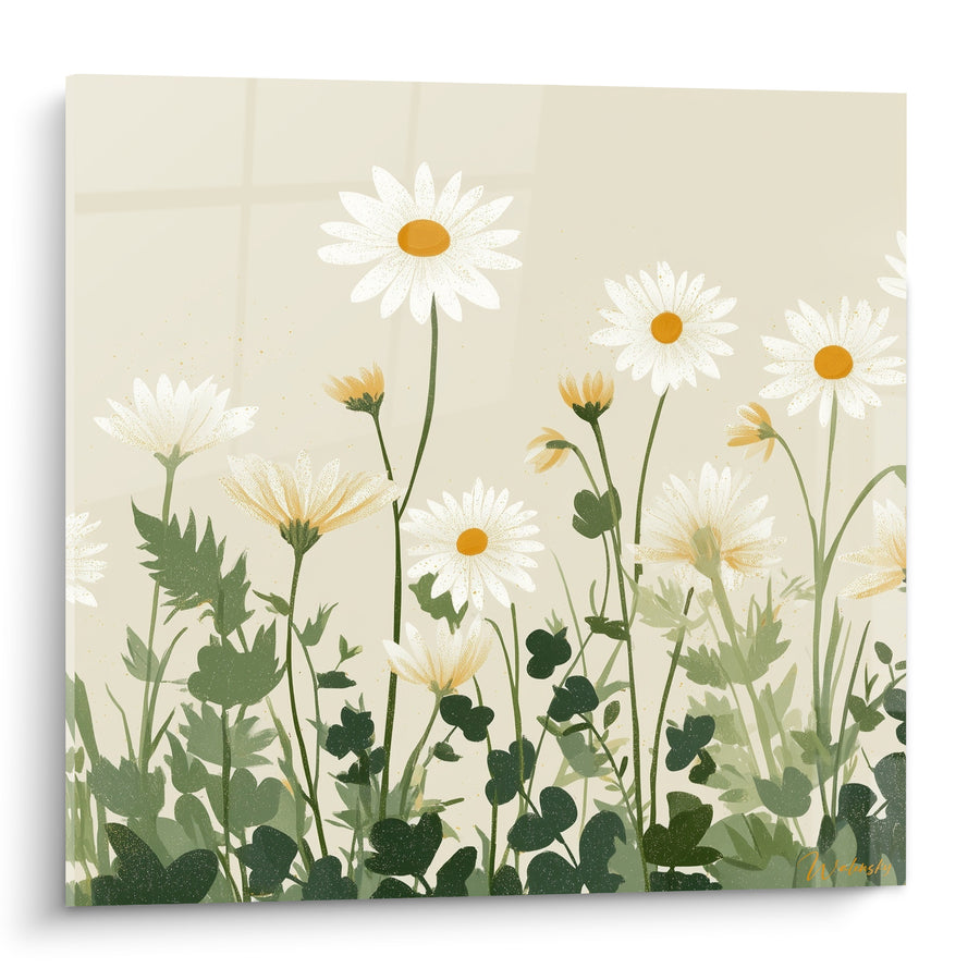 Tableau Marguerites blanches et vertes aux tiges hautes - Feuillage de trèfles dense - Edition Marguerite