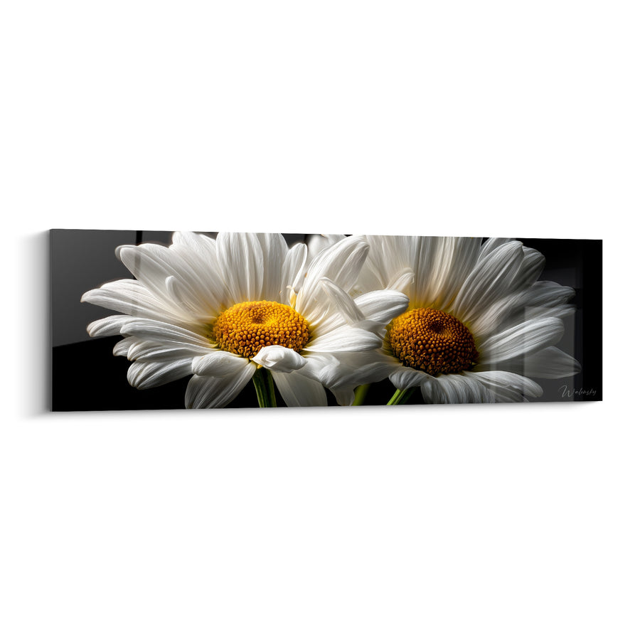 Tableau Marguerites blanches au cœur doré - Éclosion silencieuse - Edition Marguerite