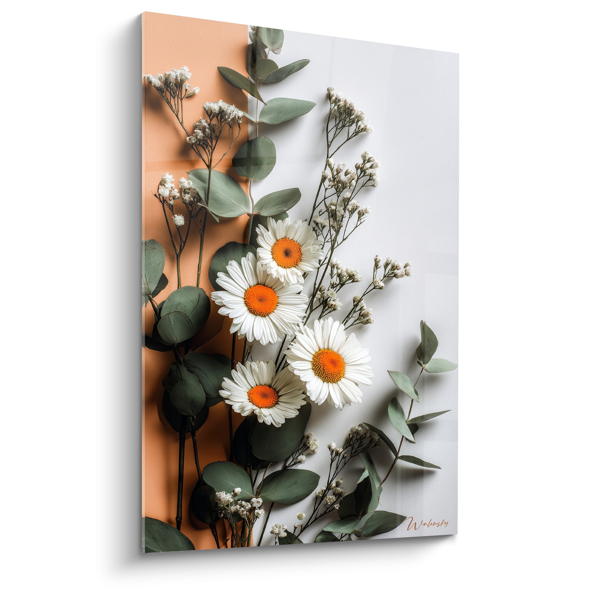 Marguerites blanches aux cœurs orange vif sur fond terracotta et blanc, feuillage d'eucalyptus vert sauge