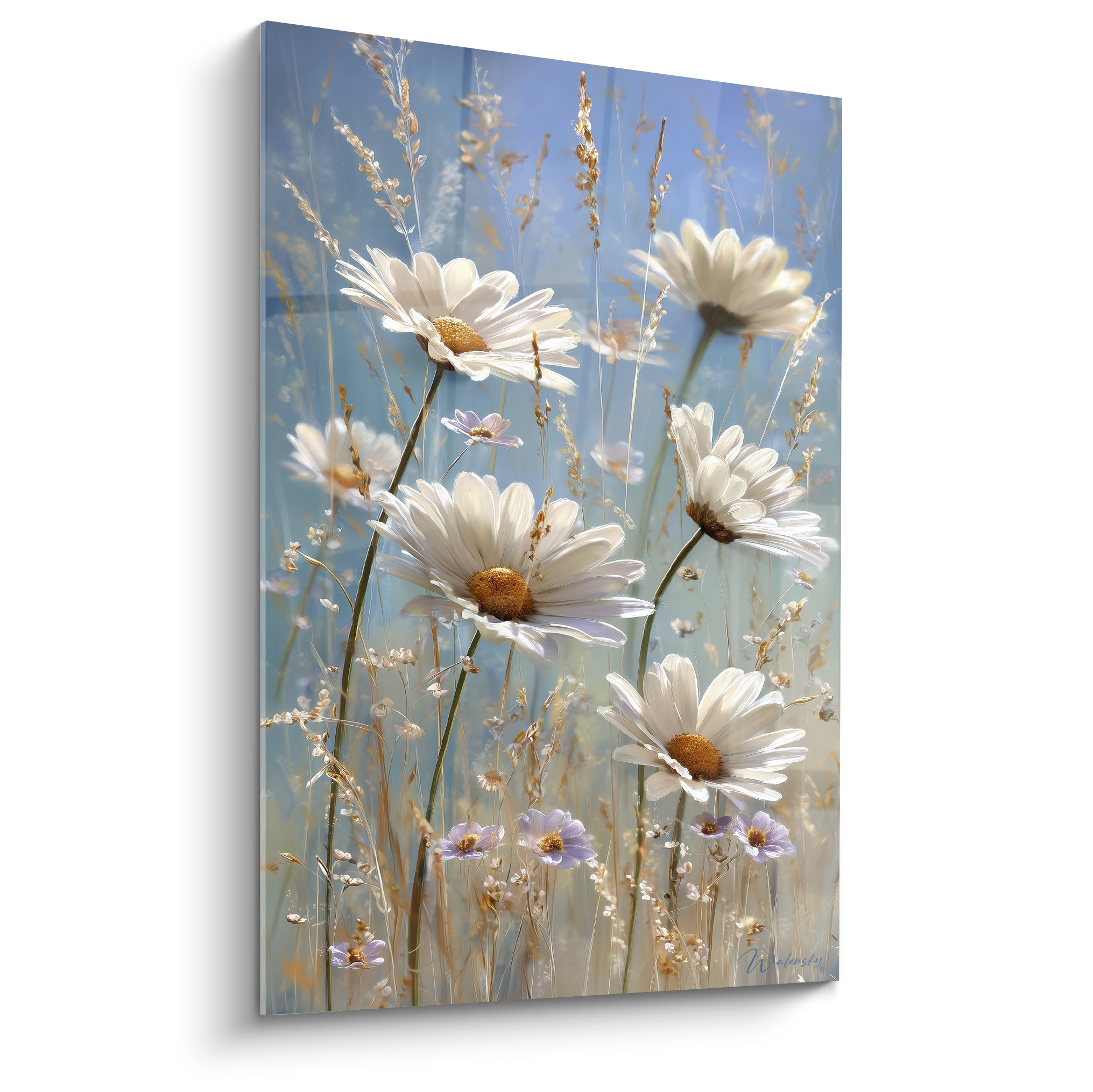 Marguerites blanches aux cœurs dorés sur fond bleu ciel, tiges parmi des graminées dorées
