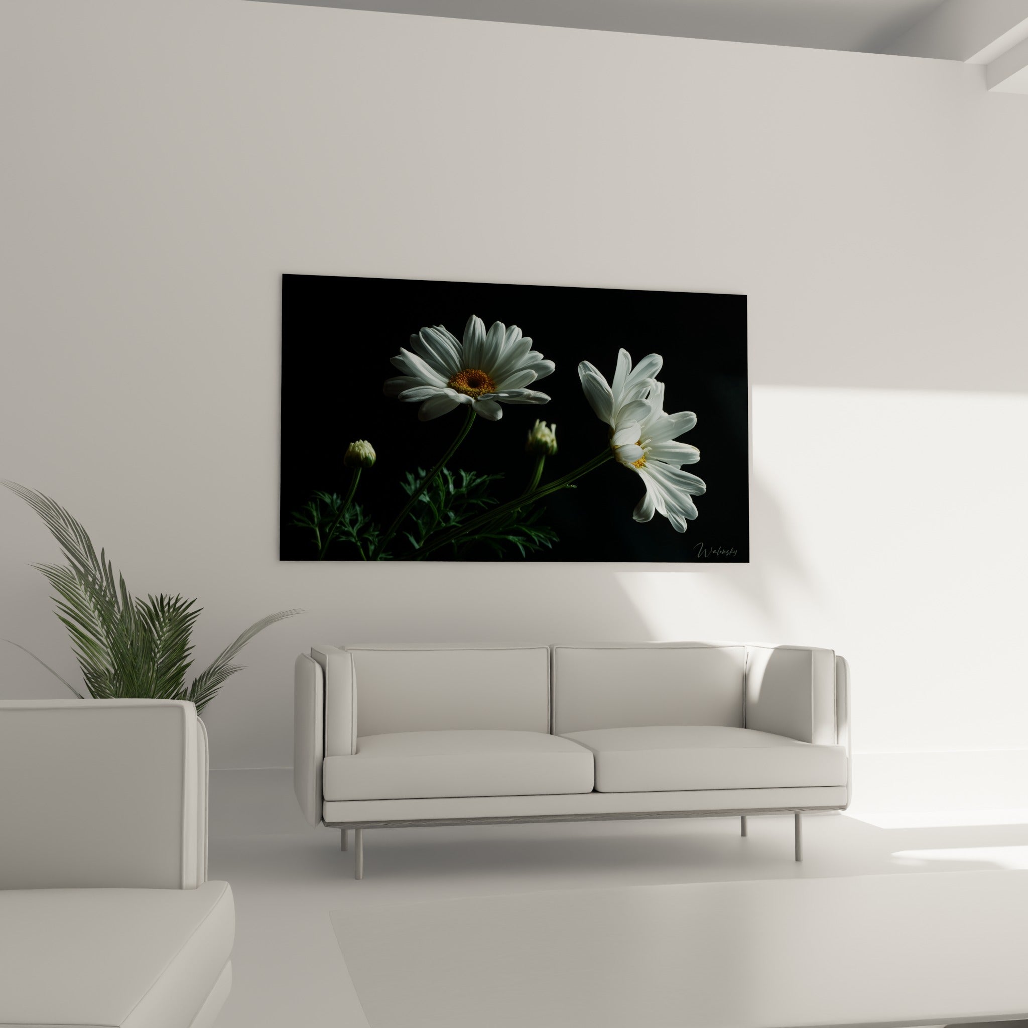 Pétales immaculés et cœur doré se détachant en relief au-dessus d'un canapé dans un salon lumineux