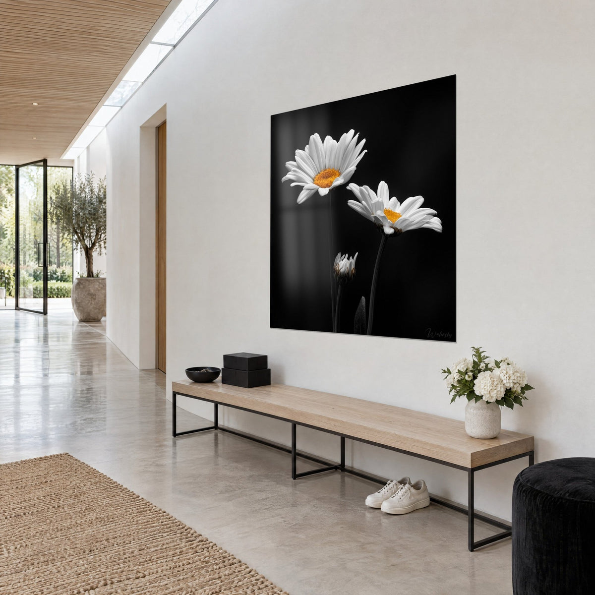 Tableau fleurs de camomille aux pétales ivoire et pistils dorés, fond noir profond, couloir clair en vue de trois-quarts