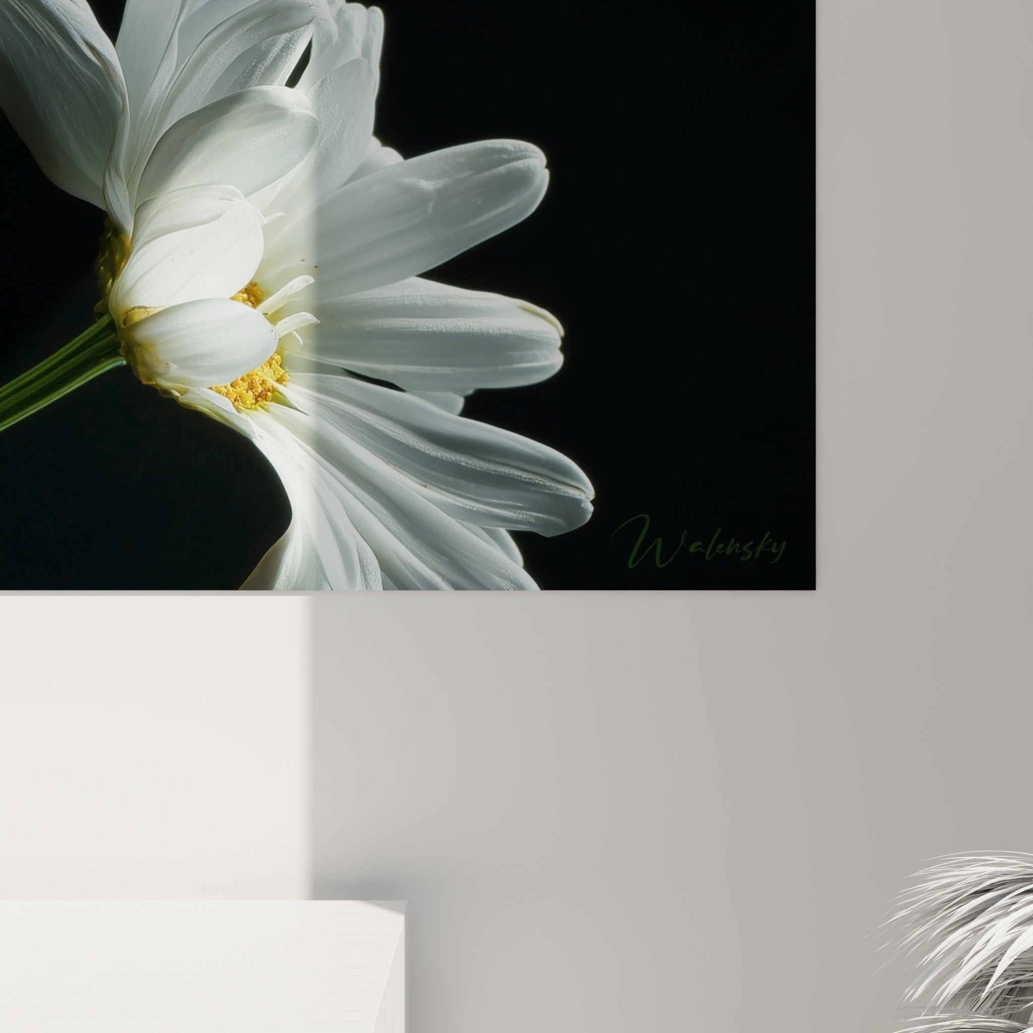 Grain de l'impression révélant les nuances jaune doré et blanc cassé des pétales de marguerite