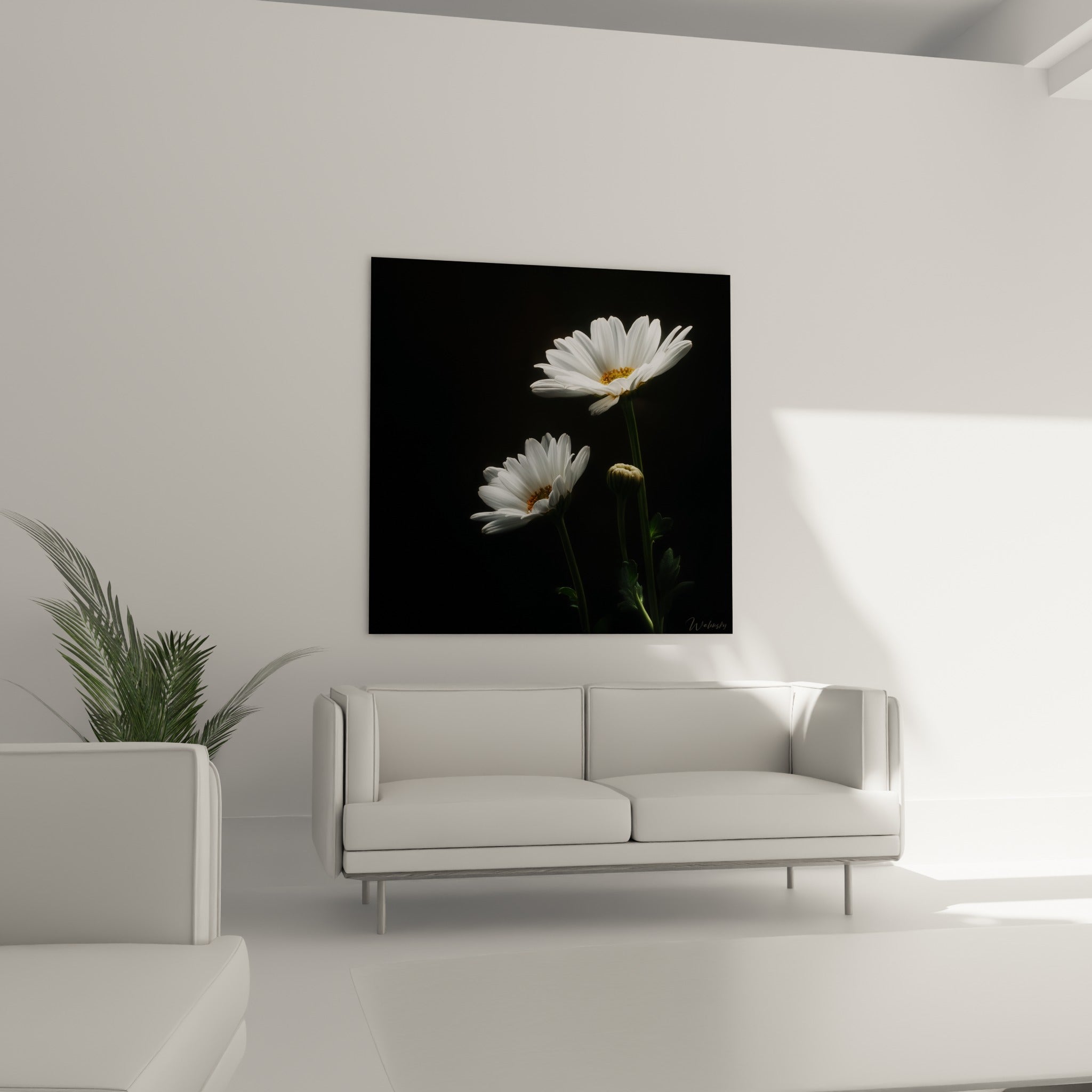 Pétales blancs et tiges vertes éclairées au-dessus d'un canapé dans un salon lumineux