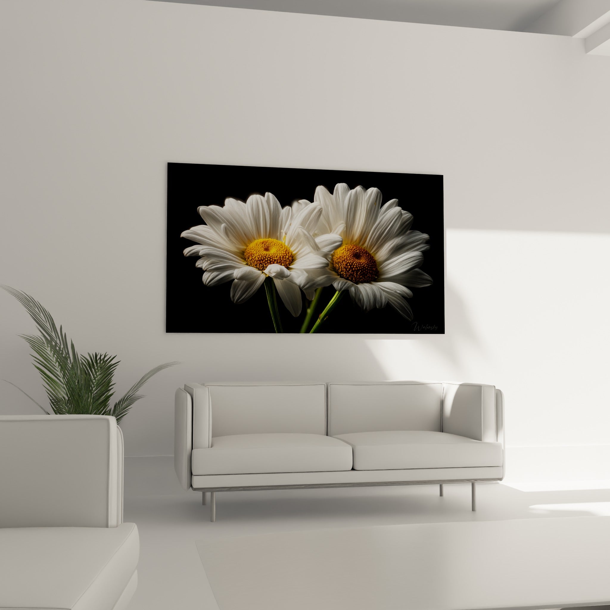 Fleurs de marguerite blanches à cœurs dorés sur fond anthracite, au-dessus d'un canapé dans un salon lumineux