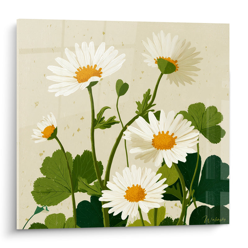 Tableau Marguerites blanches et vertes sur fond beige moucheté - Bourgeon fermé penché - Edition Marguerite