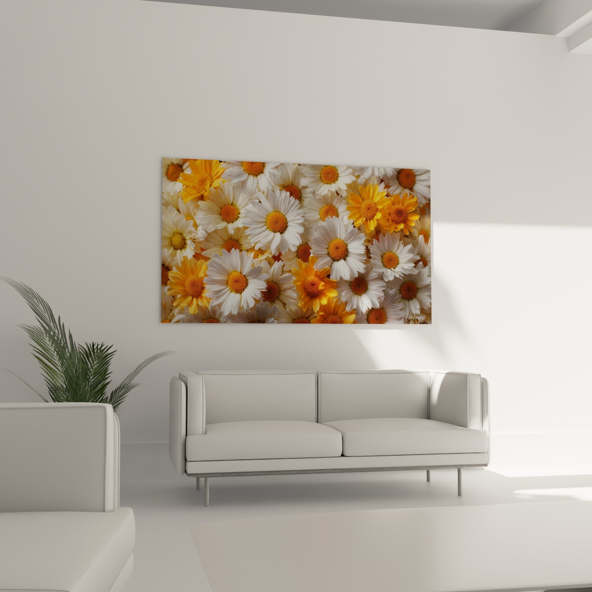 Pétales de marguerite blancs et cœurs dorés au-dessus d'un canapé dans un salon lumineux