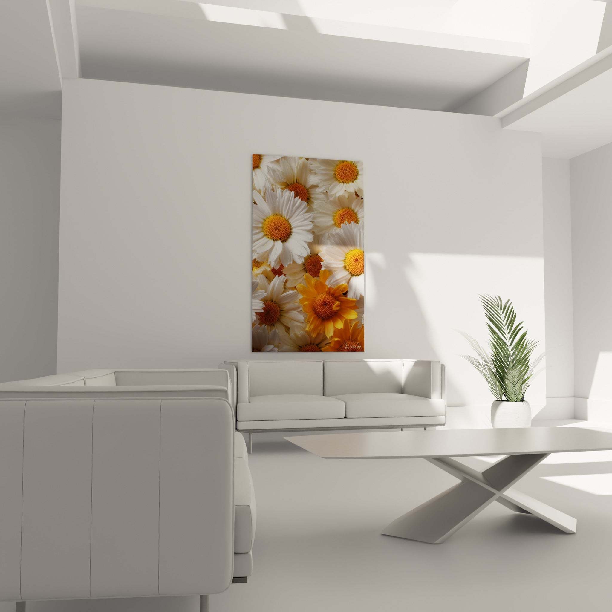 Fleurs de marguerite blanches aux coeurs safran au-dessus d'un canapé dans un salon lumineux