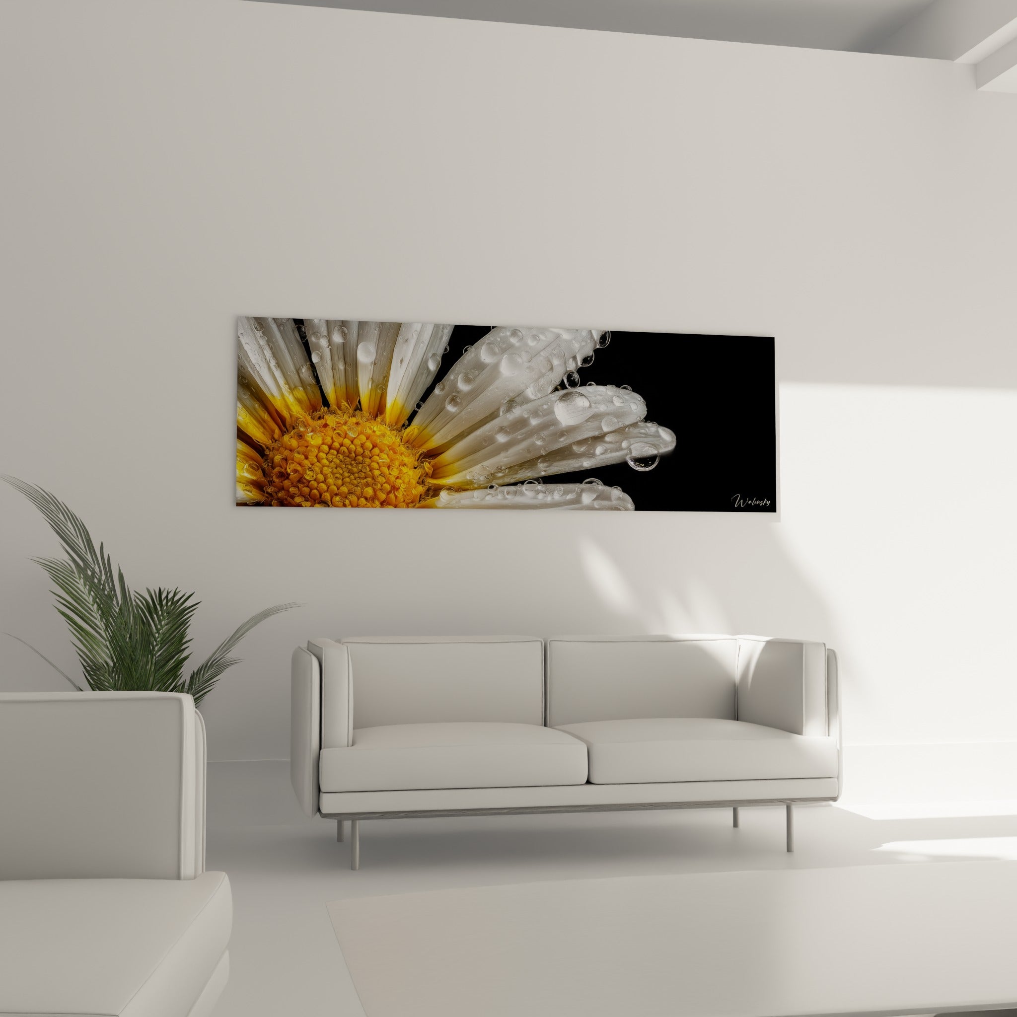 Fleur blanche et jaune ornée de gouttelettes scintillantes, au-dessus d'un canapé dans un salon lumineux