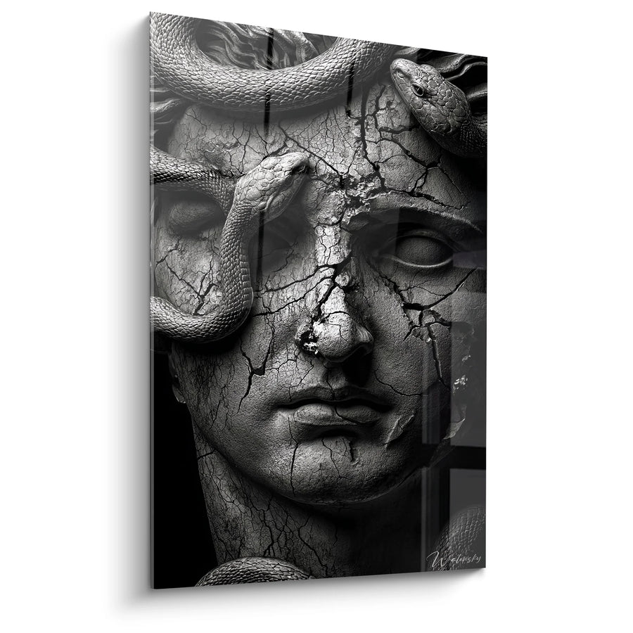 Tableau Meduse Serpents - Mythologie Antique - Edition personnages noir et blanc