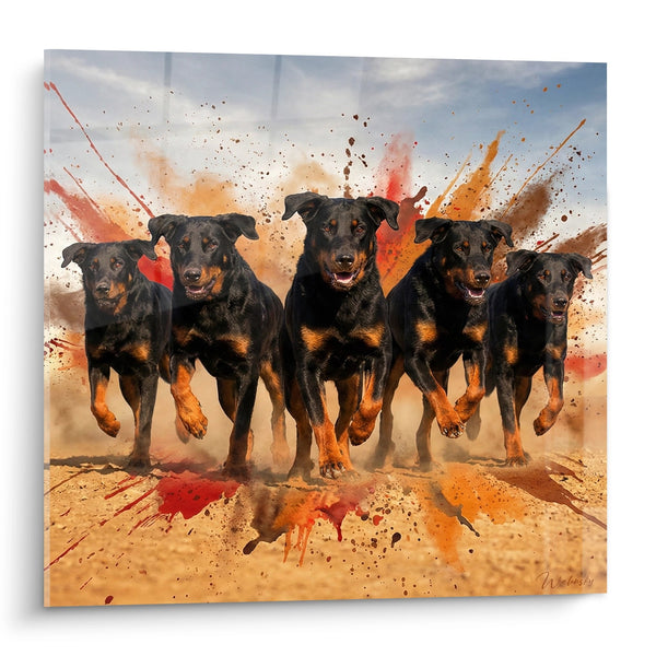 Schilderij: Dynamische Roedel Zwart-bruine Honden in Volle Ren - Hondenelan - Beauceron Editie
