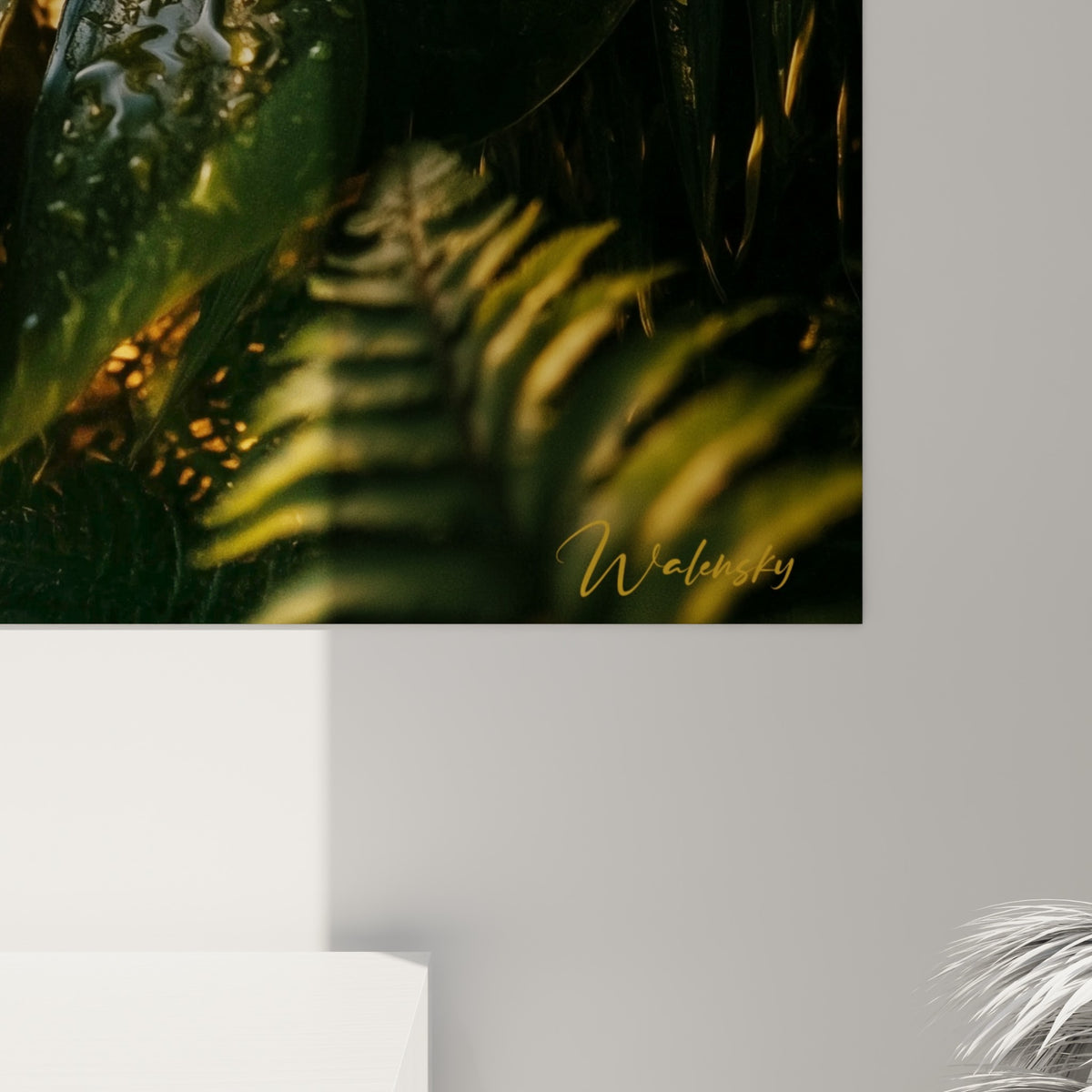 Détail rapproché du Monstera montrant les nervures vertes, les gouttes translucides et les reflets dorés sur la matière