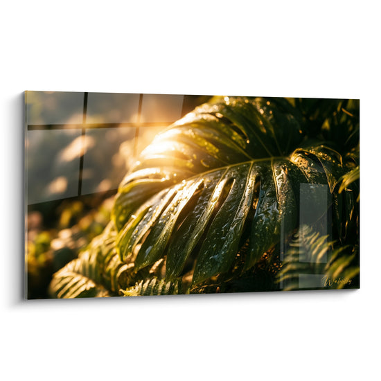 Tableau Feuille verte et dorée gouttes d'eau - Rosée matinale - Edition Monstera