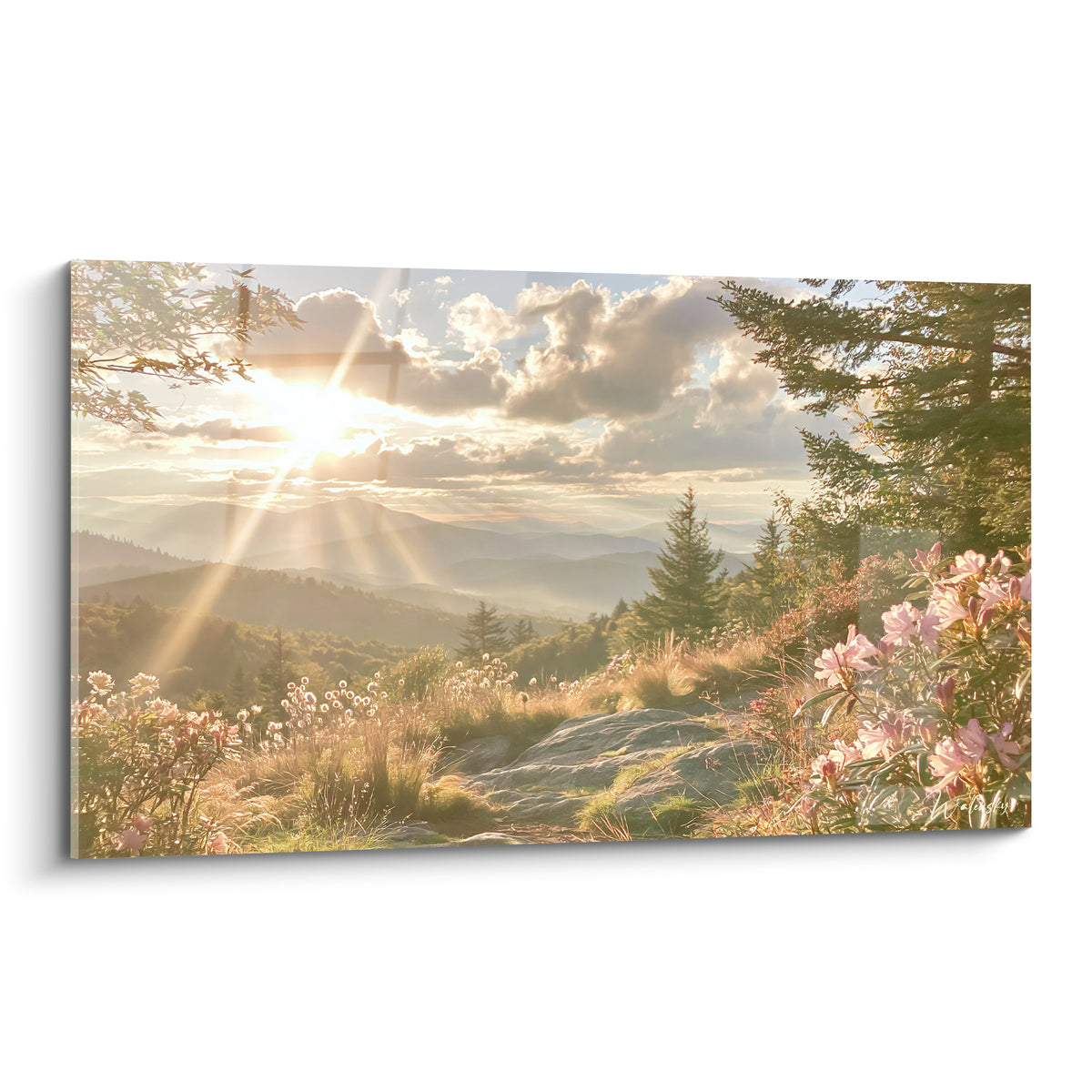 Sentier de montagne au lever du soleil, rayons dorés, fleurs roses et sapins verts en premier plan