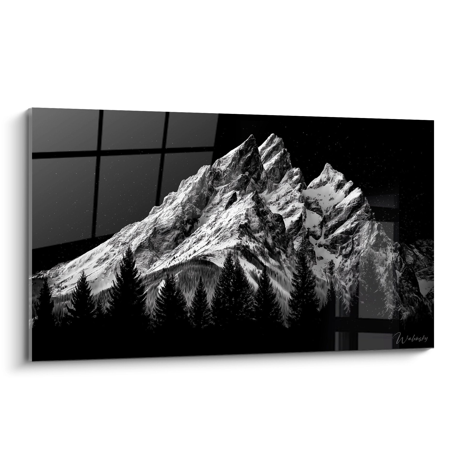 Tableau mural montagne rocheuse enneigée noir et blanc avec forêt conifères premier plan