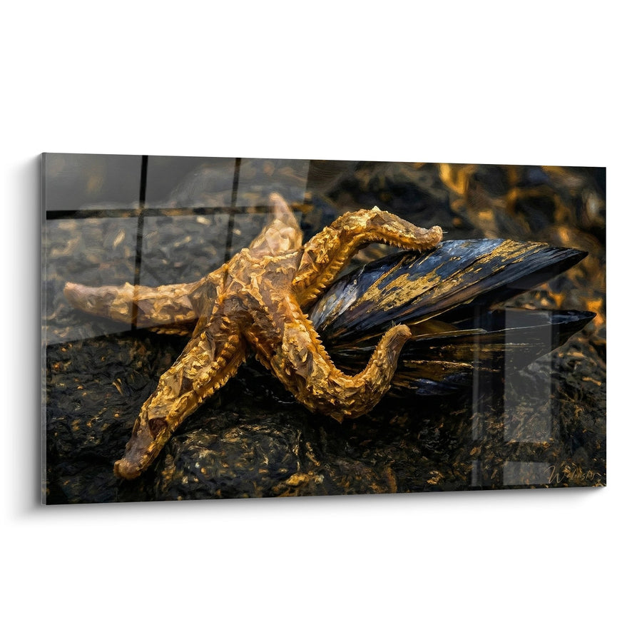 Tableau Moule Dorée aux Reflets Bleus sur Rochers Marins - Trésor des Profondeurs - Edition Moule