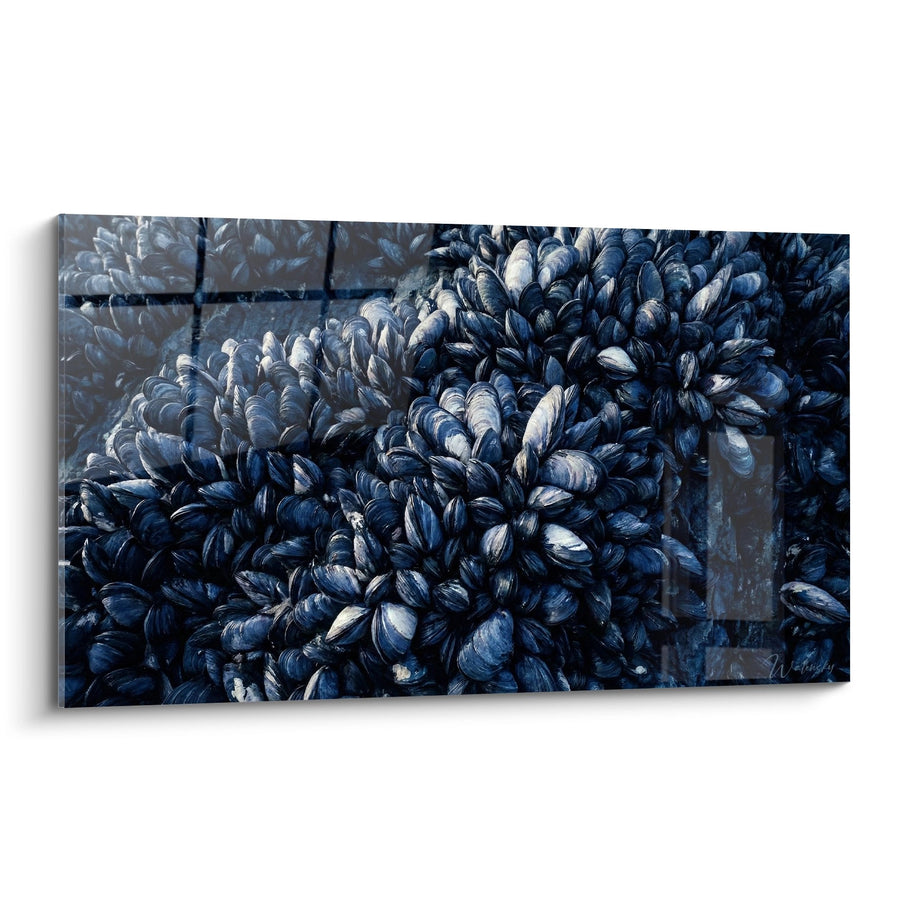 Tableau Moules Bleues Accrochées aux Rochers Marins - Trésor des Profondeurs - Edition Moule