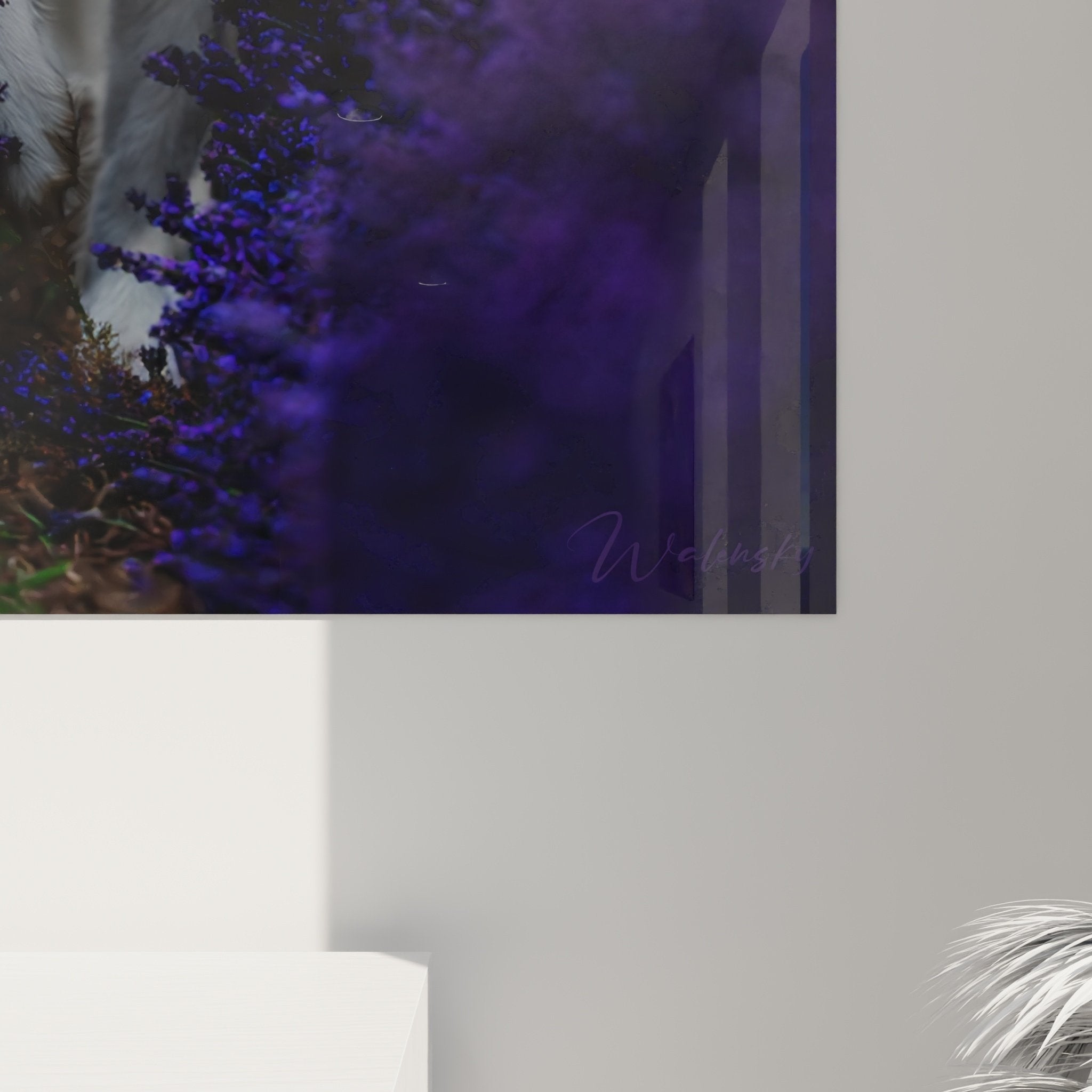 vue ensemble tableau mural berger blanc suisse paysage provencal lavandes decoration