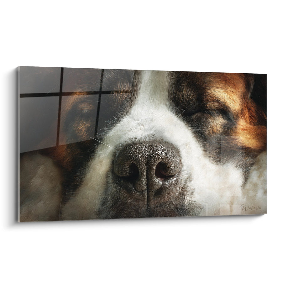 Tableau Museau de Chien Gros Plan - Tendresse Canine - Edition Saint Bernard