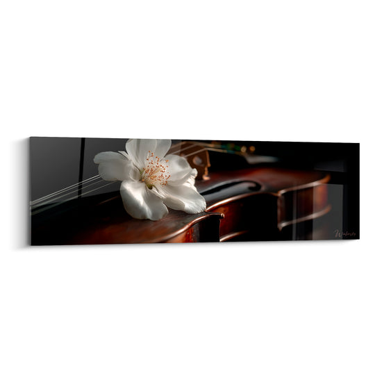 Musique fleur blanche posée sur violon brun ambré, fond anthracite, lumière feutrée et douce