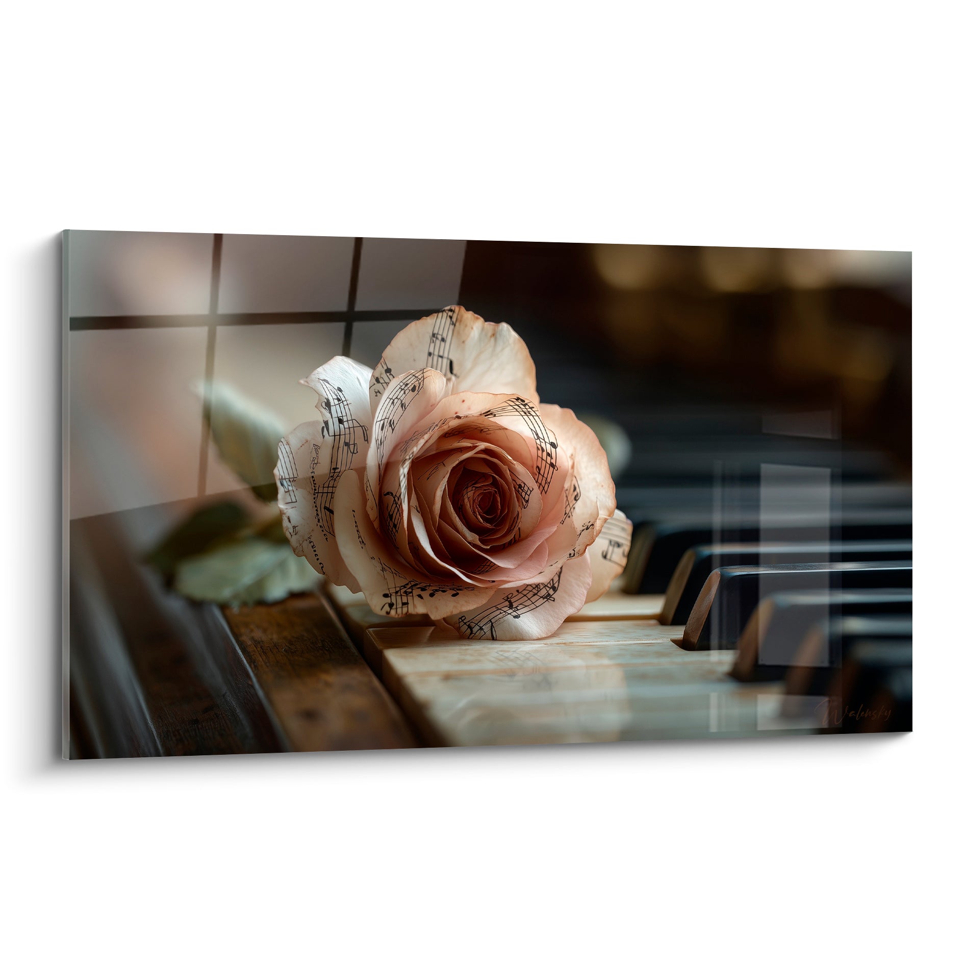 Rose ivoire ornée de notes musicales posée sur touches brunes et anthracite d'un piano