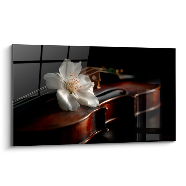 Cuadro Música blanco marrón flor única posada - Ventana a cuadros - Edición Música