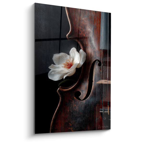 Cuadro Música violín de ébano y flor blanca - Suave silencio - Edición Música