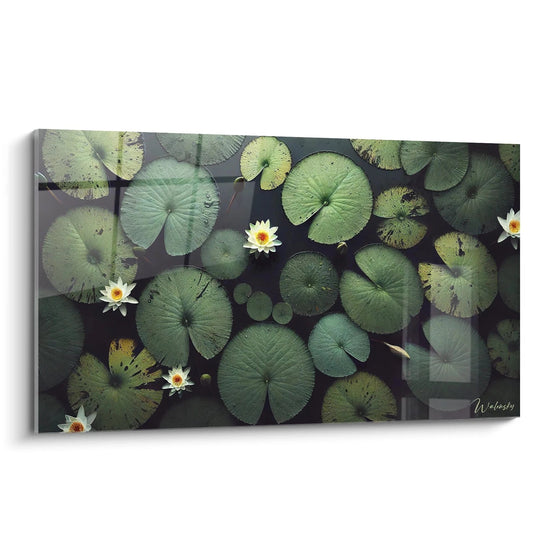 Quadro ninfee visto di scorcio, cattura l'istante di uno stagno segreto, dove i fiori bianchi e il verde delle foglie si mescolano con eleganza per un'atmosfera rilassante.

