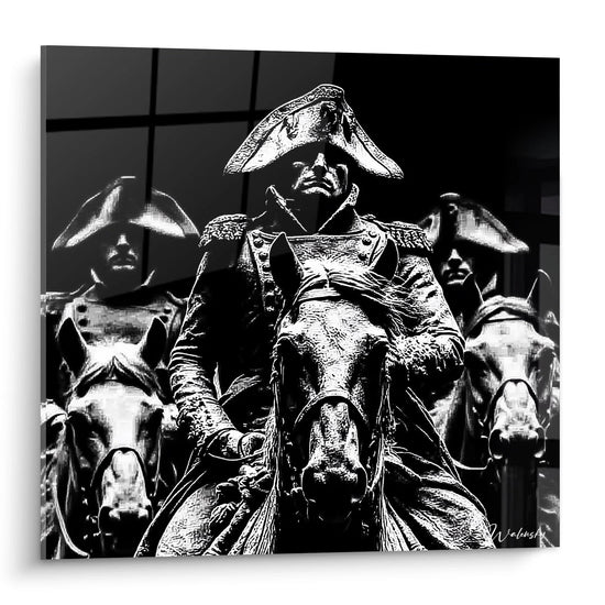 Tableau Napoléon Ombre Impériale - édition Napoléon