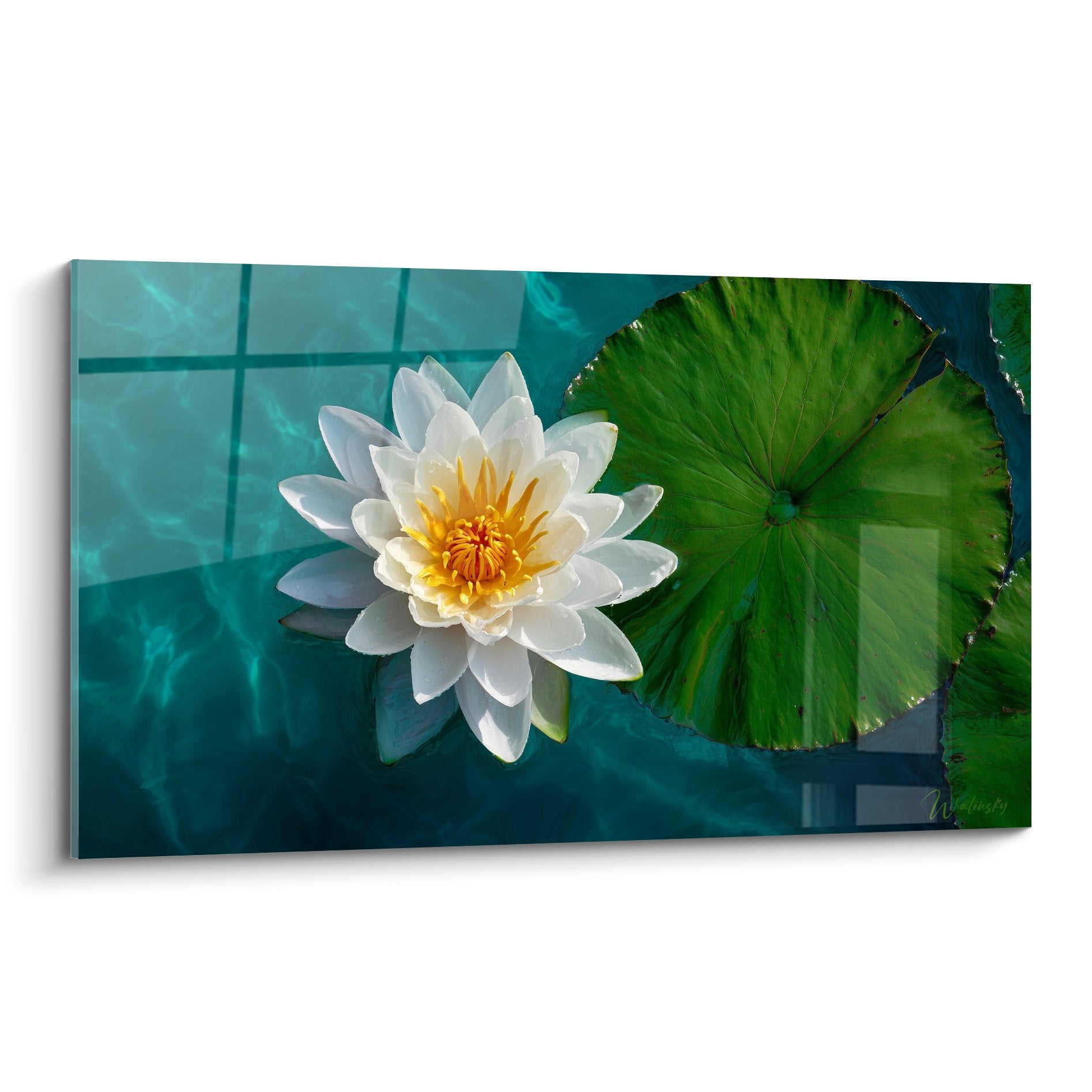 Tableau nénuphare blanc aux pétales délicats et cœur doré flottant sur eau turquoise avec feuille verte