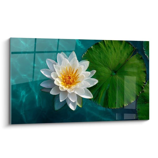 Tableau Fleur de Lotus Blanche sur Eau Turquoise avec Feuille Verte - Sérénité Aquatique - Edition Nénuphare