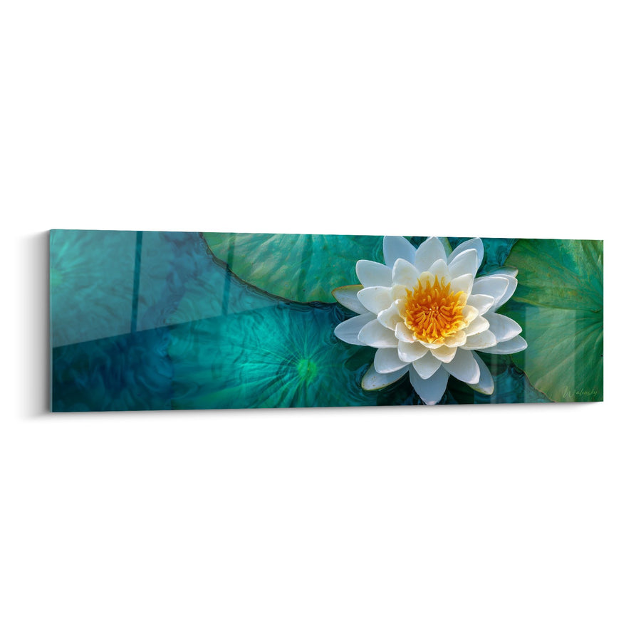Schilderij Witte en Gele Waterlelies op Turquoise Bladeren - Aquatische Sereniteit - Waterlelie Editie