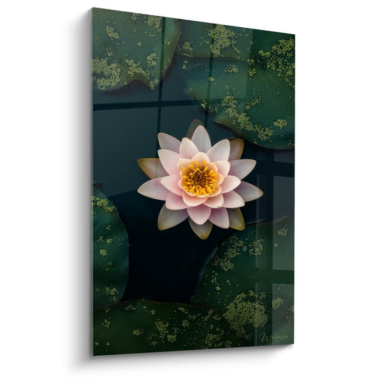 Tableau nénuphare rose aux pétales délicats sur eau vert émeraude avec feuilles flottantes et végétation aquatique