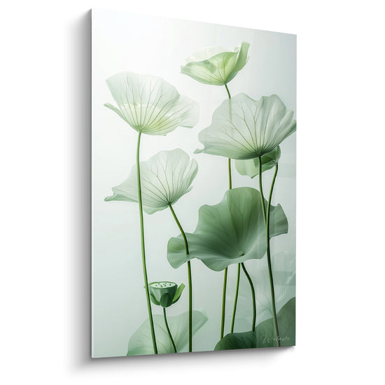 Tableau feuilles de nenuphars translucides tons verts avec capsule graines aquatique style botanique