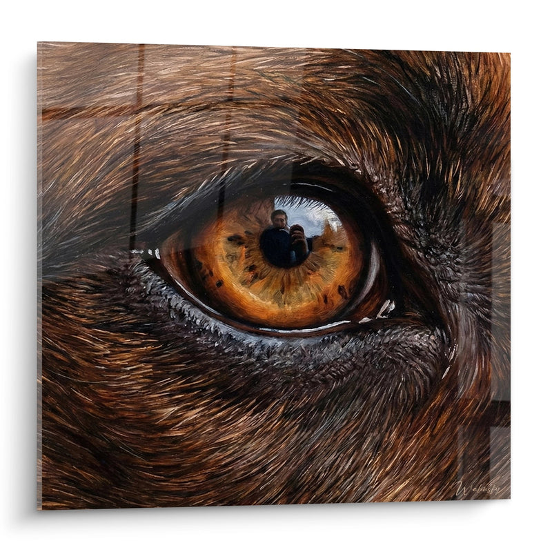 Quadro Occhio Ambra Ipnotico in Primo Piano - Sguardo Intenso - Edizione Staffordshire Bull Terrier