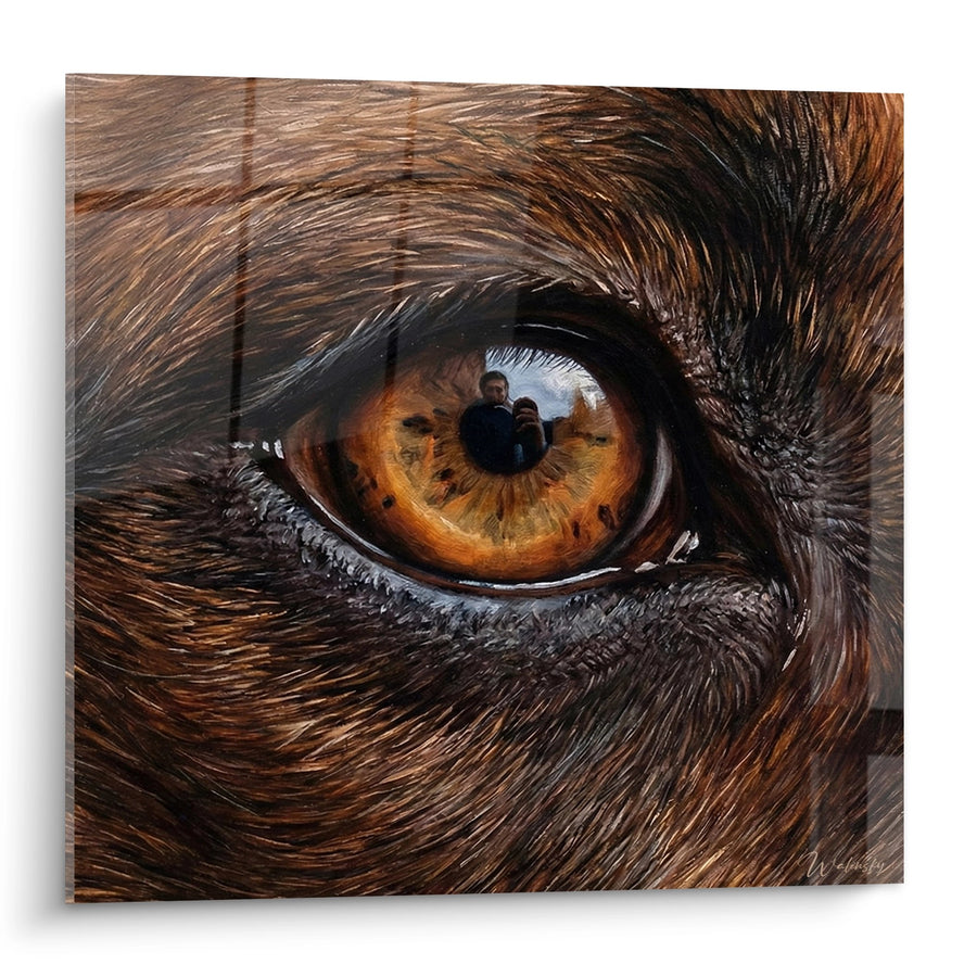 Tableau Œil Ambre Hypnotique en Gros Plan - Regard Intense - Edition Staffordshire Bulle Terrier