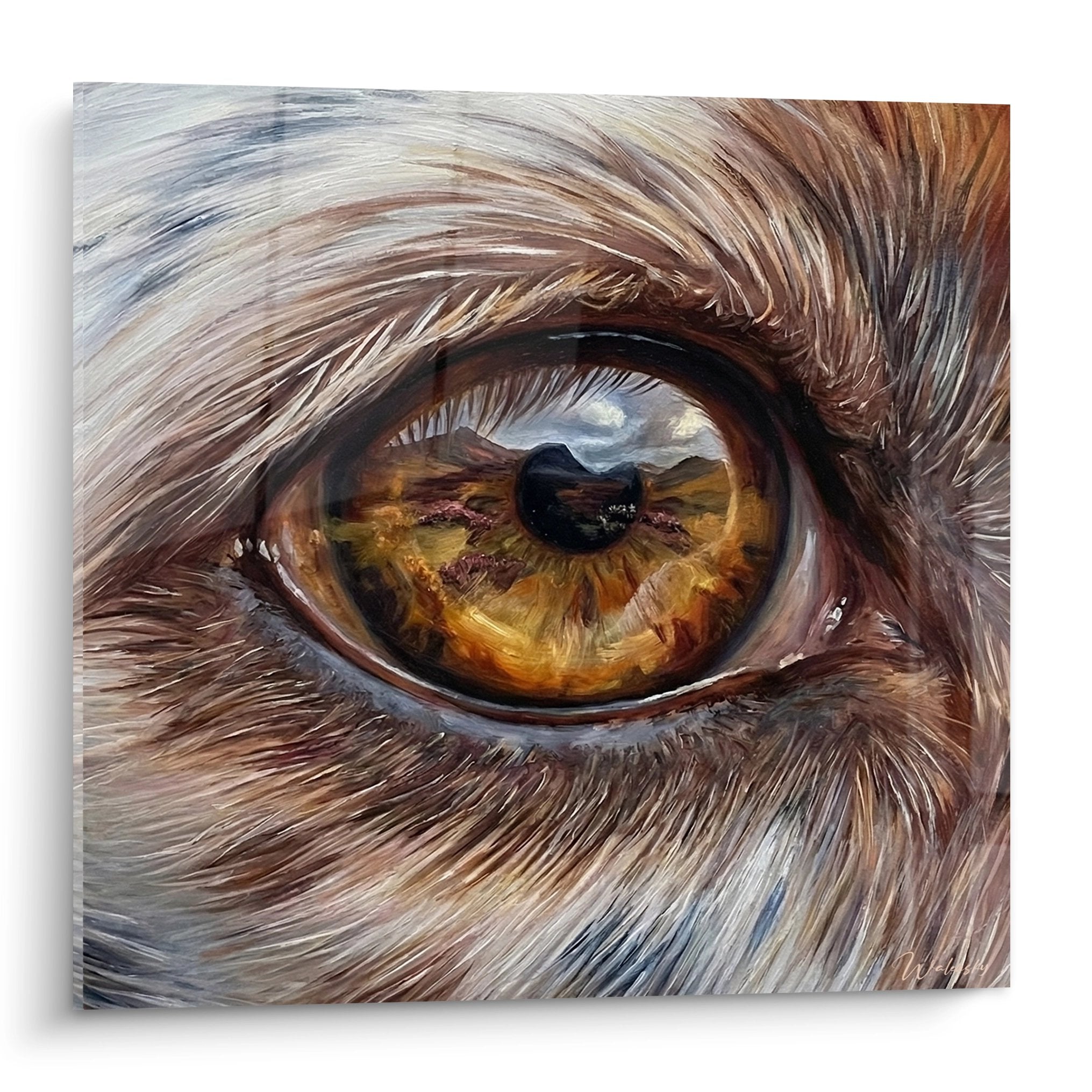 Hyperrealistisches Nahaufnahmefoto des bernsteinfarbenen Auges eines English Setter mit goldenen Reflexen und detailliertem kastanienbraunem Fell