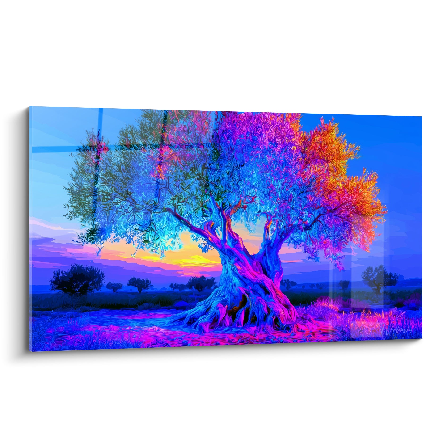Olivier centenaire aux tons bleu cobalt et magenta, tronc noueux, coucher de soleil en arrière-plan