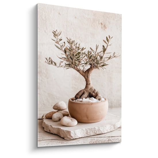 Tableau Bonsaï brun et beige dans un pot en terre cuite - Galets et dalle de pierre - Edition Olivier