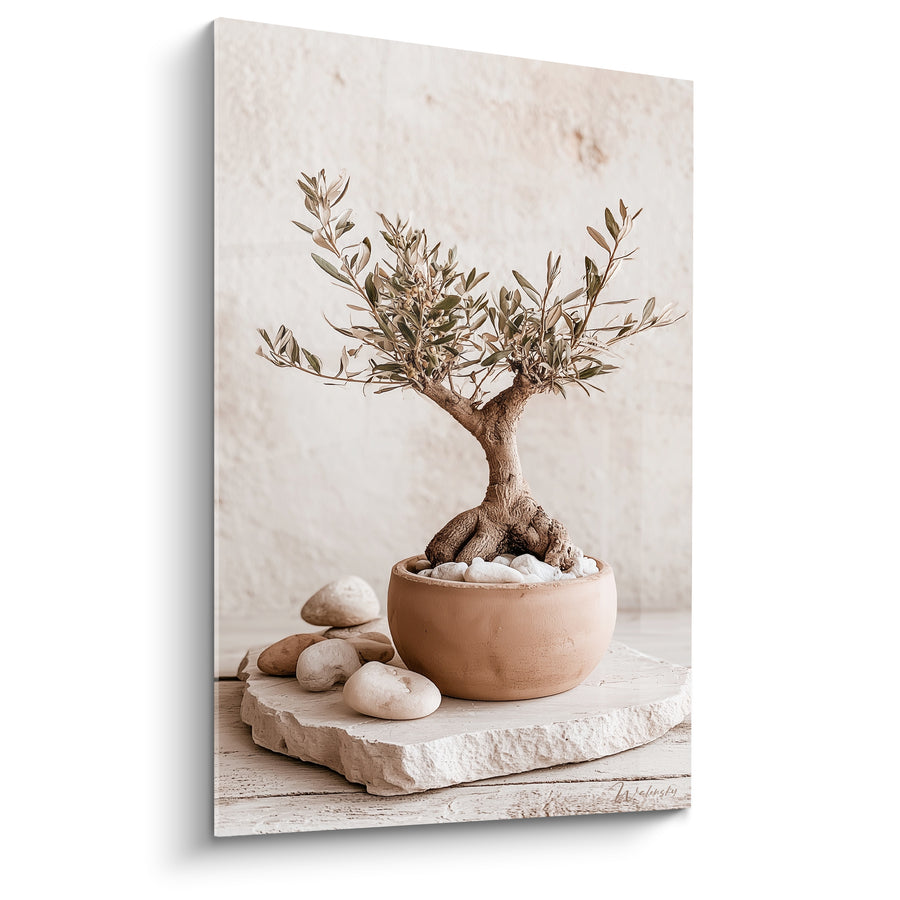 Tableau Bonsaï brun et beige dans un pot en terre cuite - Galets et dalle de pierre - Edition Olivier