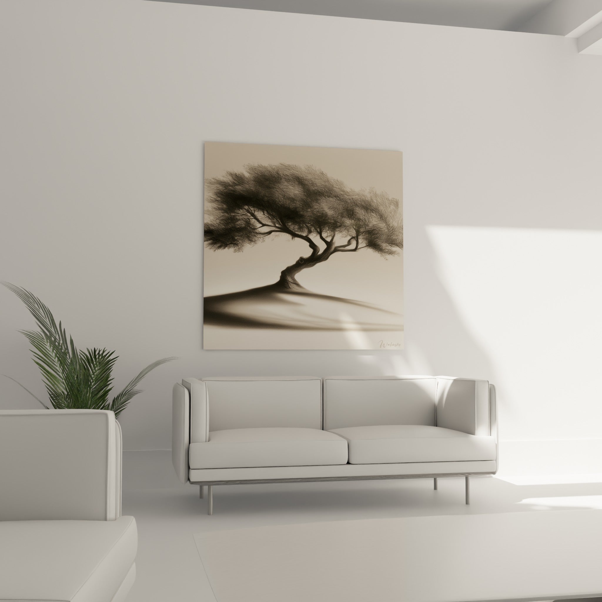 Branches noires ramifiées d'un olivier sépia, au-dessus d'un canapé dans un salon lumineux