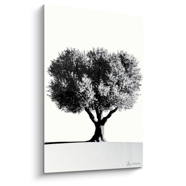 Tableau Olivier noir et blanc au feuillage pointilliste - Sol granuleux minimaliste - Edition Olivier