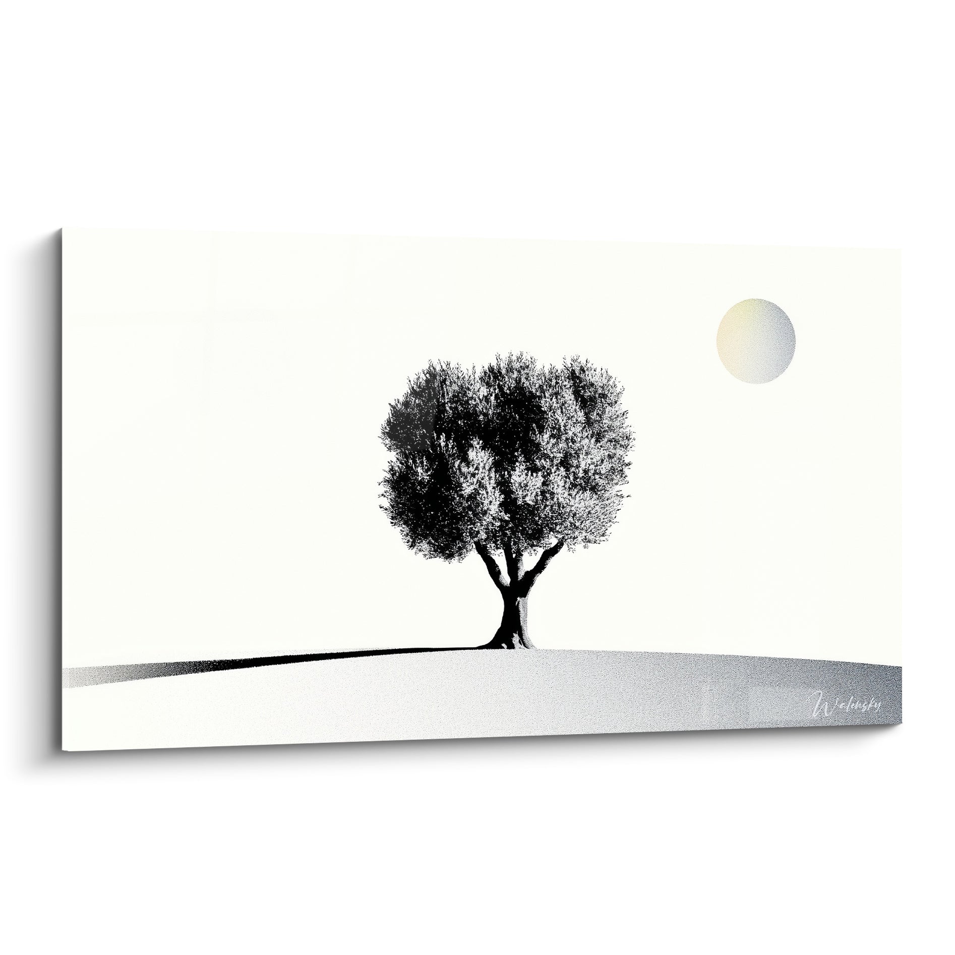 Olivier noir aux branches finement tracées, soleil doré pâle sur fond blanc immaculé