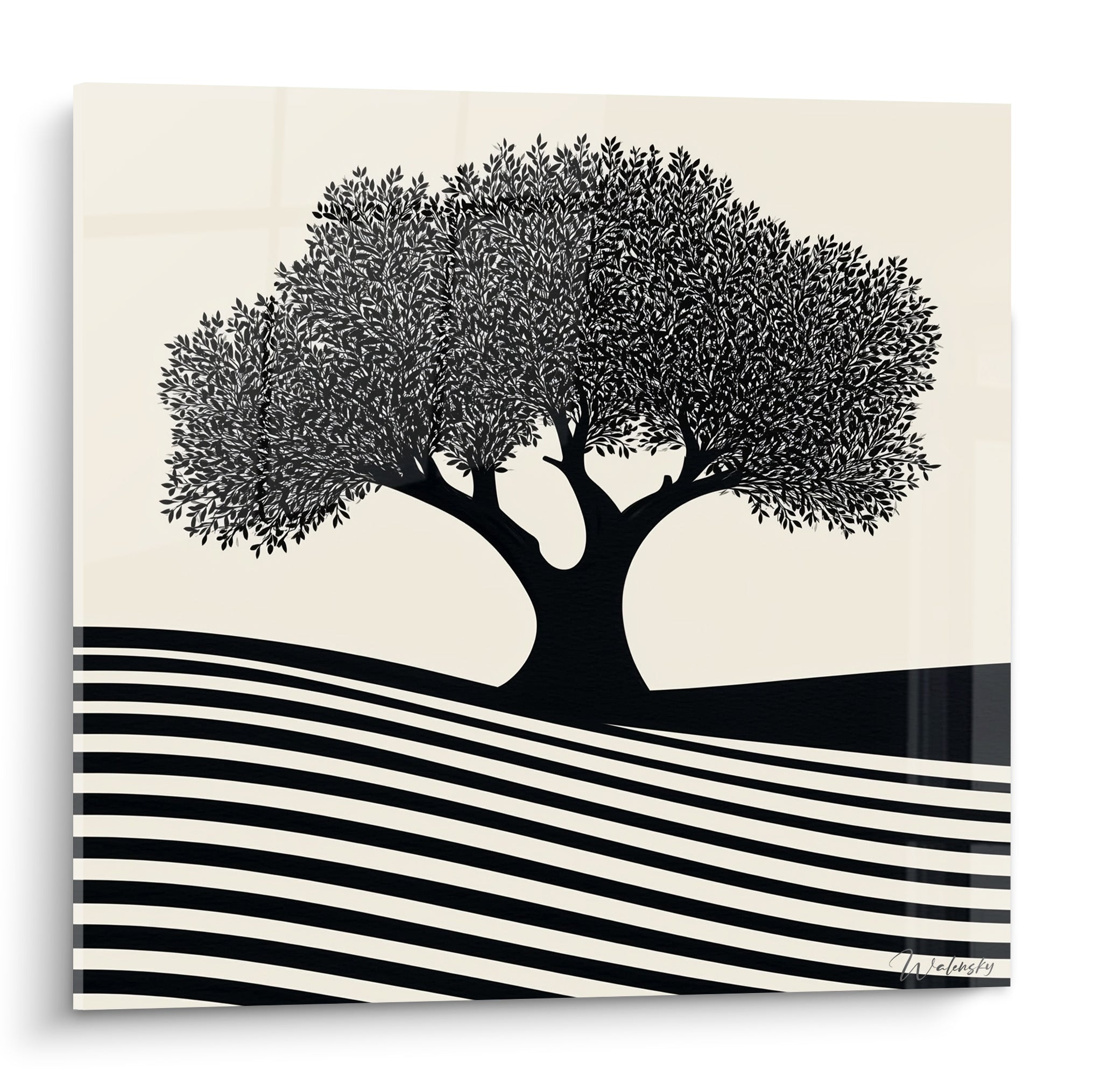 Olivier noir au feuillage dense sur fond ivoire, collines rayées noir et blanc en dessous