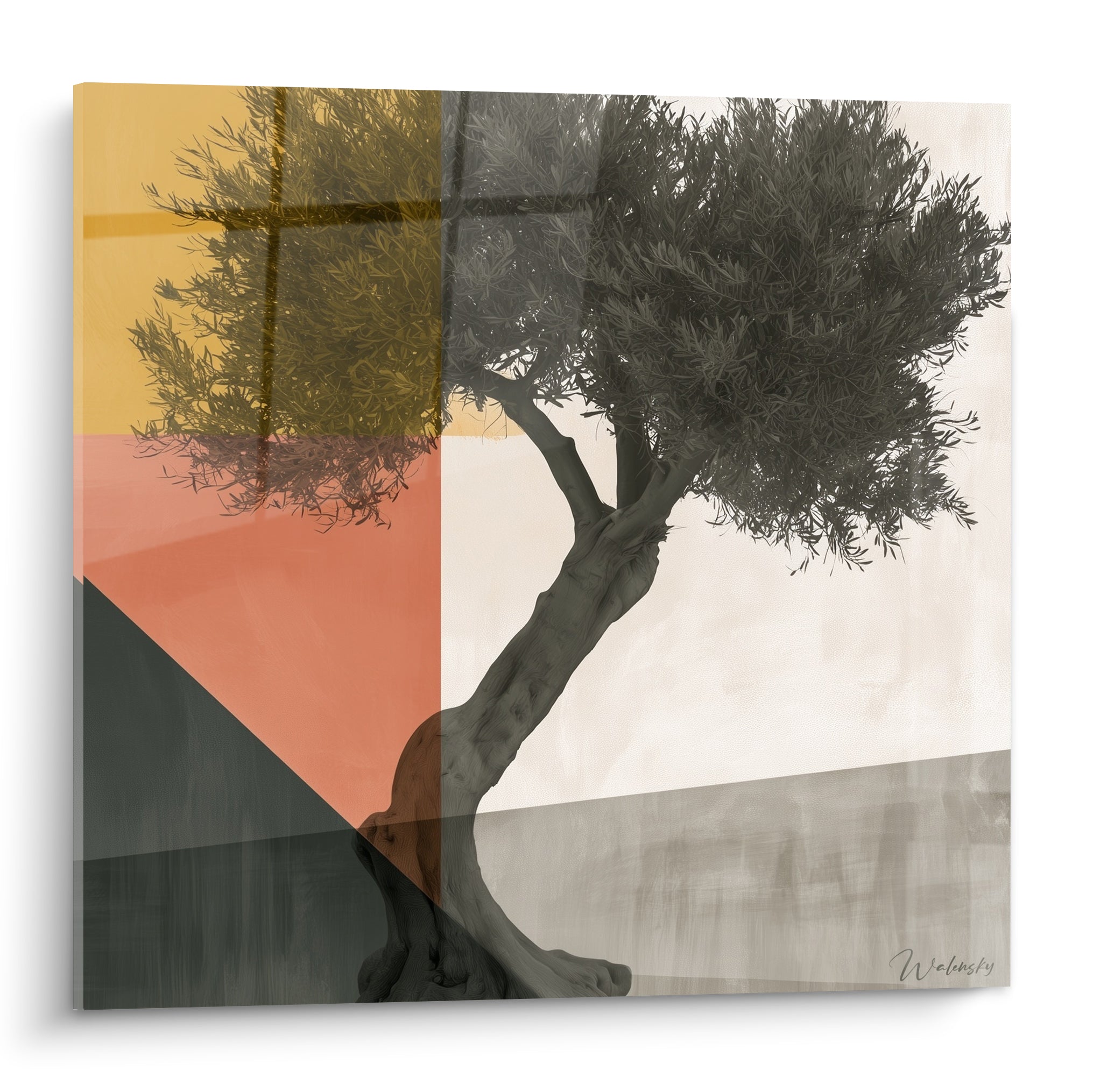 Olivier au tronc courbé et feuillage anthracite sur fond ocre et terracotta géométrique