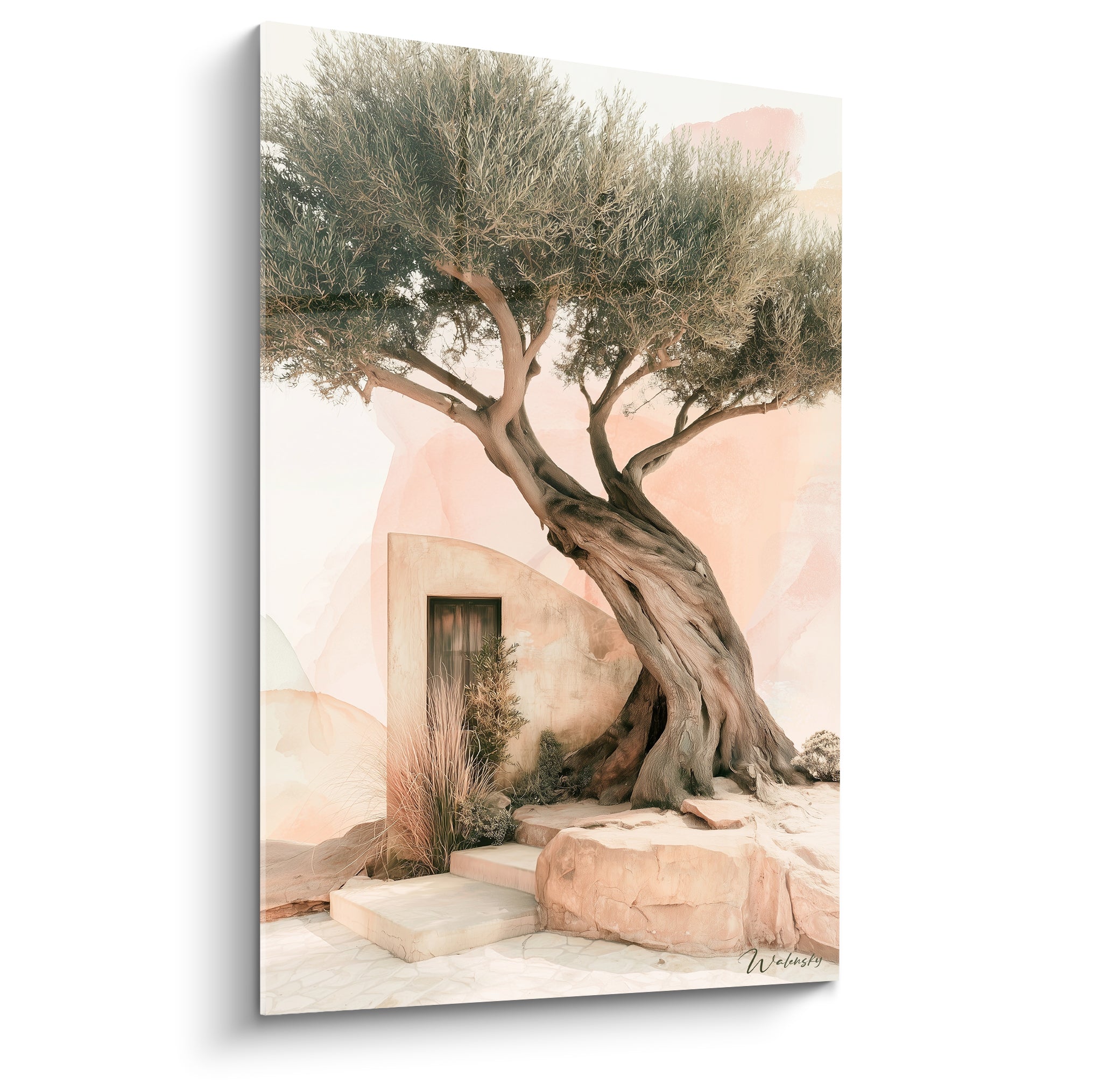 Olivier au tronc gris noueux devant façade rose poudré et beige sable, aquarelle douce