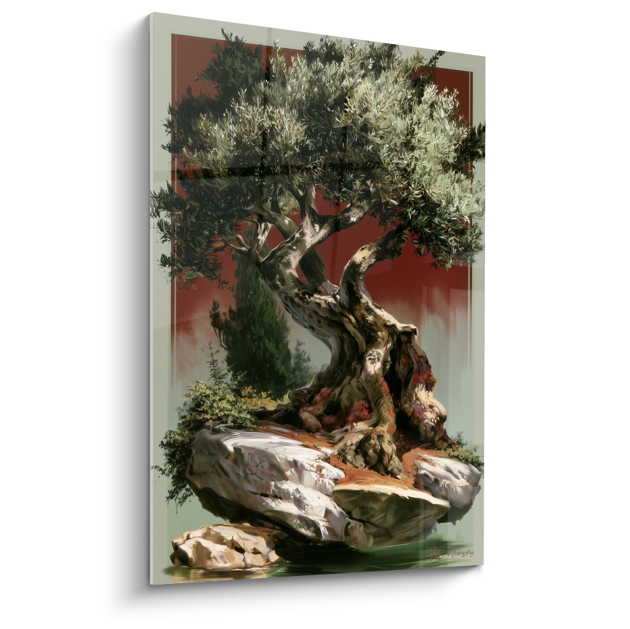 Olivier au tronc noueux sur rochers blancs, feuillage vert sauge et fond terracotta profond.